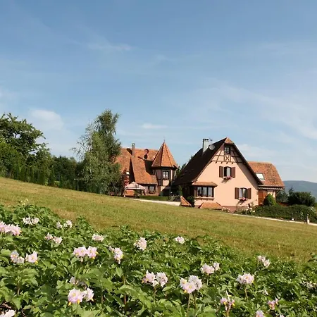 La Romance - Spacieuse & Luxueuse - Parking Gratuit Dieffenbach-au-Val