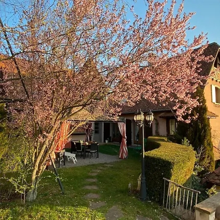 La Romance - Spacieuse & Luxueuse - Parking Gratuit Holiday home Dieffenbach-au-Val