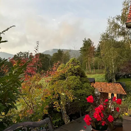 Holiday home La Romance - Spacieuse & Luxueuse - Parking Gratuit Dieffenbach-au-Val