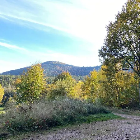 La Romance - Spacieuse & Luxueuse - Parking Gratuit * Dieffenbach-au-Val