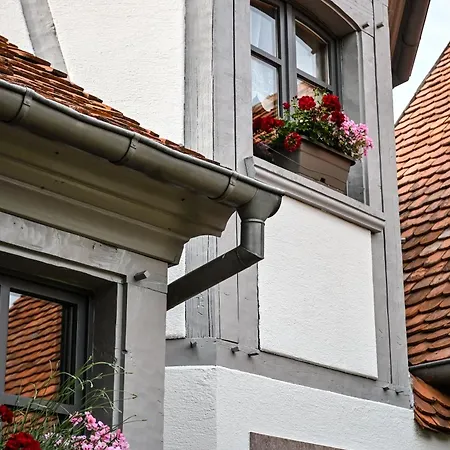 La Romance - Spacieuse & Luxueuse - Parking Gratuit Casa vacanze Dieffenbach-au-Val