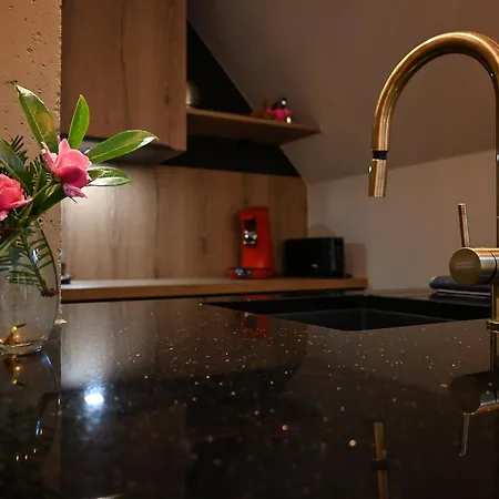 La Romance - Spacieuse & Luxueuse - Parking Gratuit Dieffenbach-au-Val