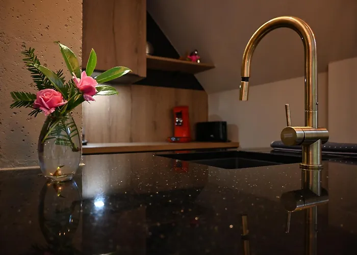 La Romance - Spacieuse & Luxueuse - Parking Gratuit Dieffenbach-au-Val